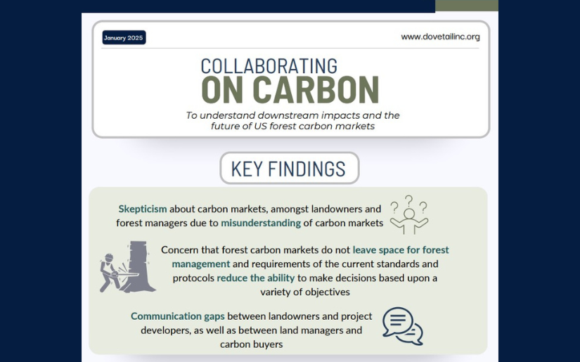 Collaborating on Carbon Infographic